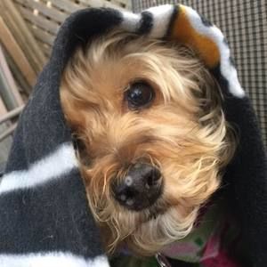 Meet your Posher, Denise